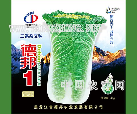德邦1